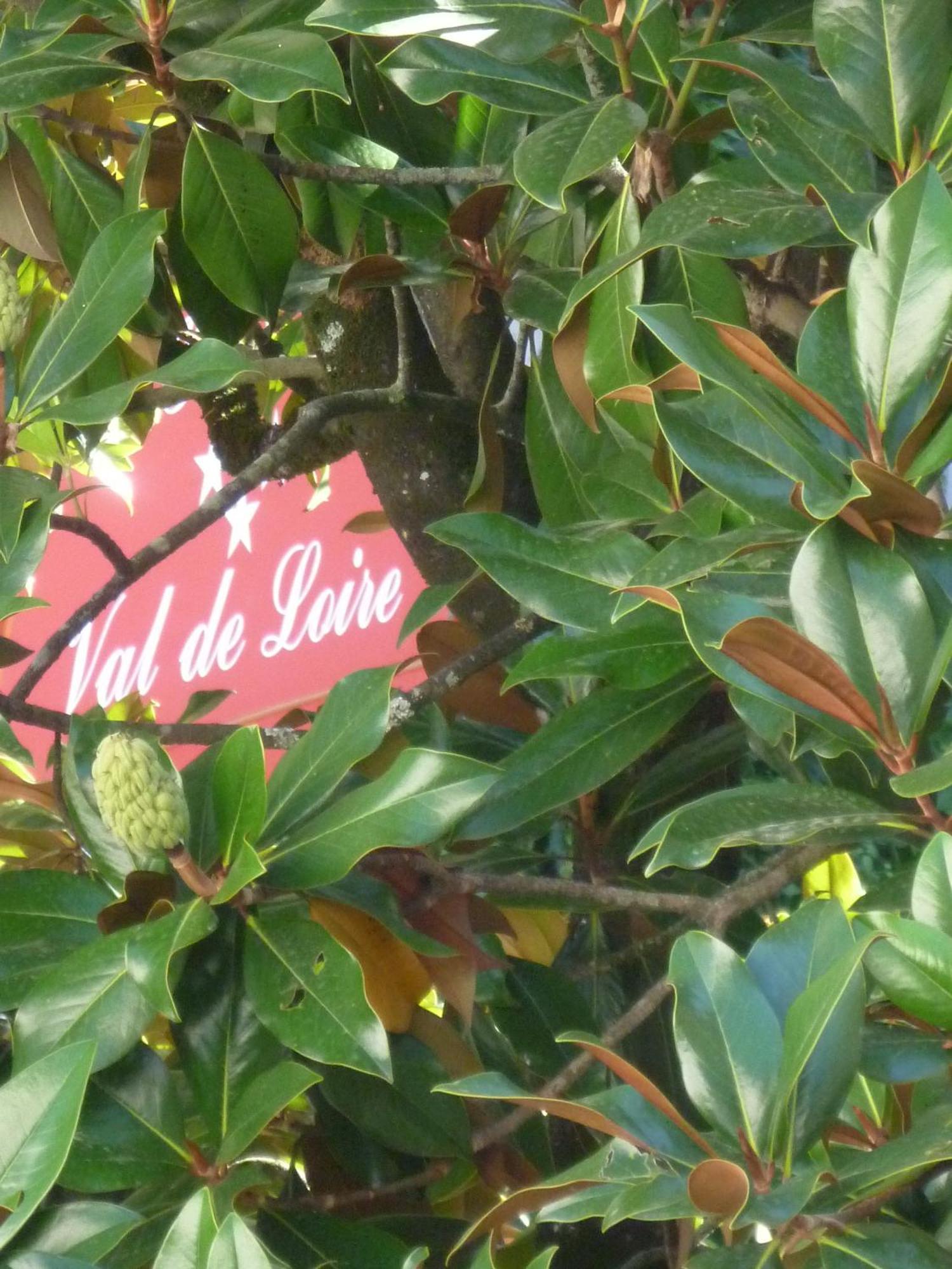 Hotel Val De Loire Azay-le-Rideau Ngoại thất bức ảnh